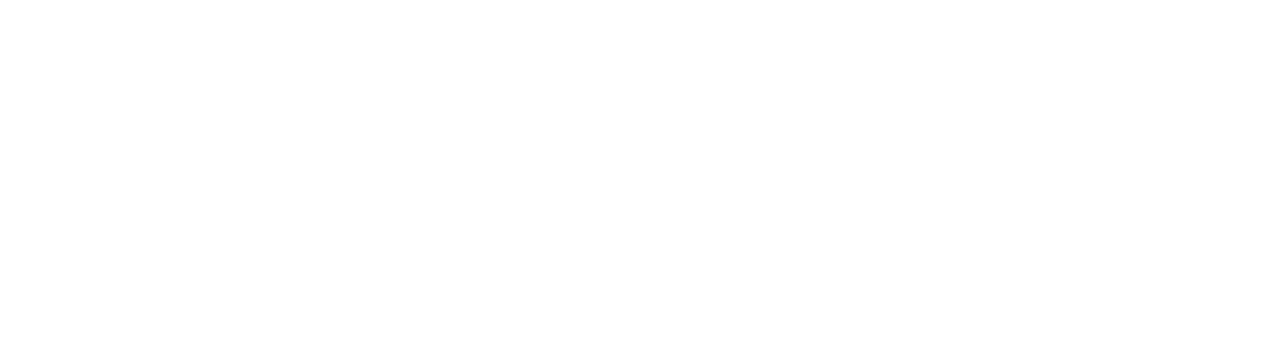 The Holistyx Group